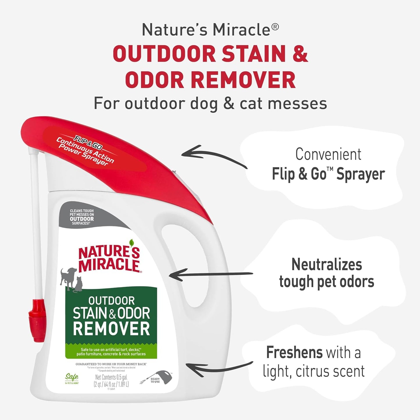 Stain and Odor Remover Dog, 32 Ounces, Everyday Mess Enzymatic Odor Control Formula