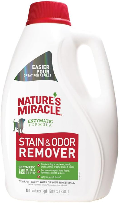 Stain and Odor Remover Dog, 32 Ounces, Everyday Mess Enzymatic Odor Control Formula
