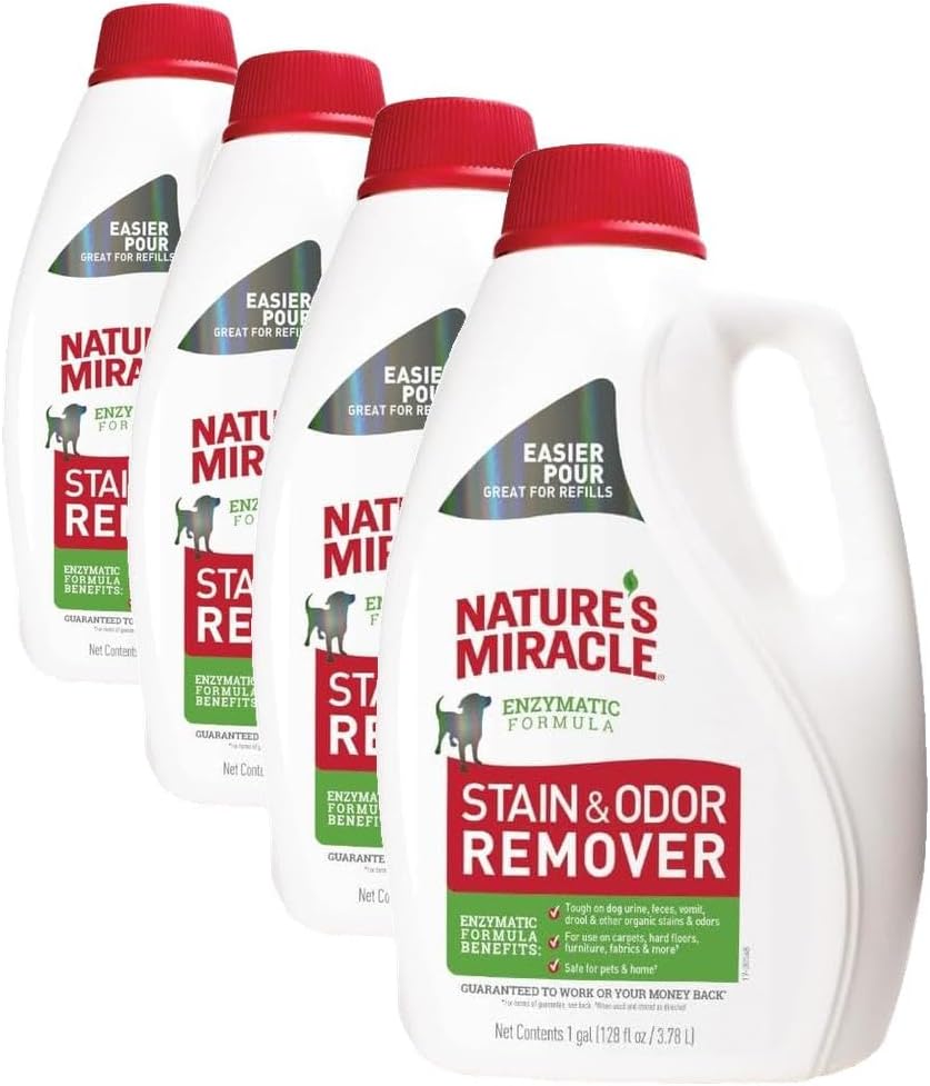 Stain and Odor Remover Dog, 32 Ounces, Everyday Mess Enzymatic Odor Control Formula