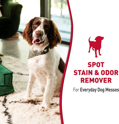 Stain and Odor Remover Dog, 32 Ounces, Everyday Mess Enzymatic Odor Control Formula
