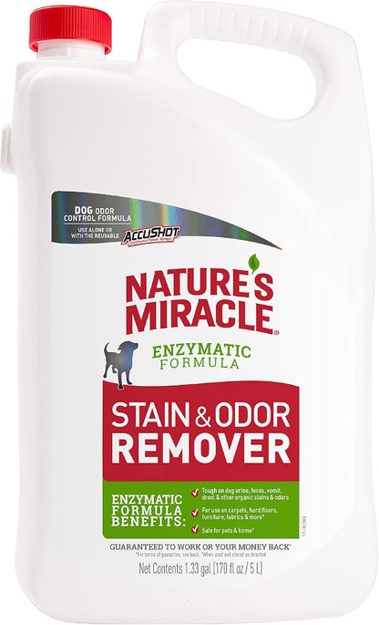 Stain and Odor Remover Dog, 32 Ounces, Everyday Mess Enzymatic Odor Control Formula