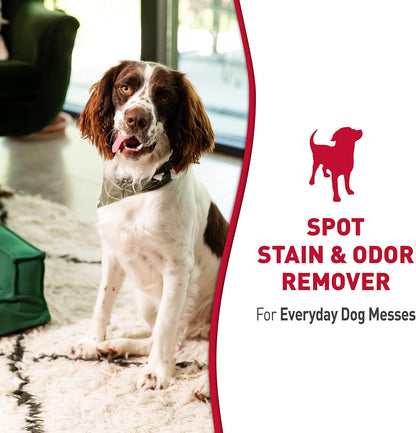 Stain and Odor Remover Dog, 32 Ounces, Everyday Mess Enzymatic Odor Control Formula