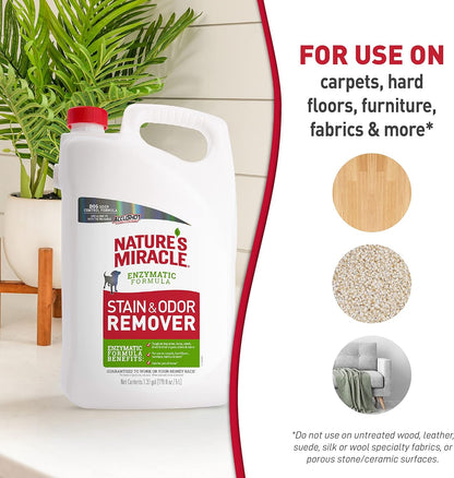 Stain and Odor Remover Dog, 32 Ounces, Everyday Mess Enzymatic Odor Control Formula