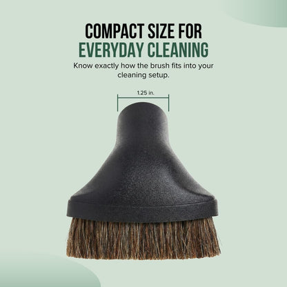 Selgo Universal 1 ¼ Inch (32mm) Black Vacuum Cleaner Floor Brush 10" Wide (1 Brush Only)