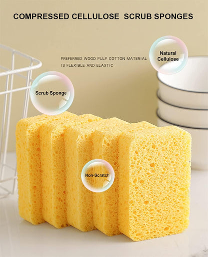 12-Count Kitchen Sponges- Compressed Cellulose Sponges Non-Scratch Natural Dish Sponge for Kitchen Bathroom Cars, Funny Cut-Outs DIY for Kids-Absorb Water Before Use