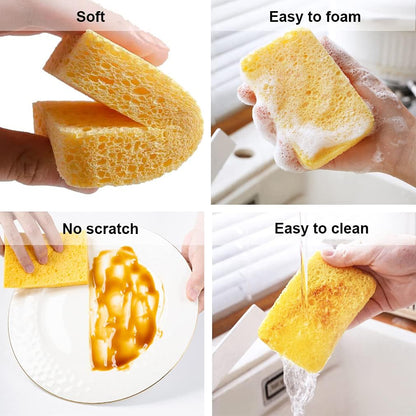12-Count Kitchen Sponges- Compressed Cellulose Sponges Non-Scratch Natural Dish Sponge for Kitchen Bathroom Cars, Funny Cut-Outs DIY for Kids-Absorb Water Before Use